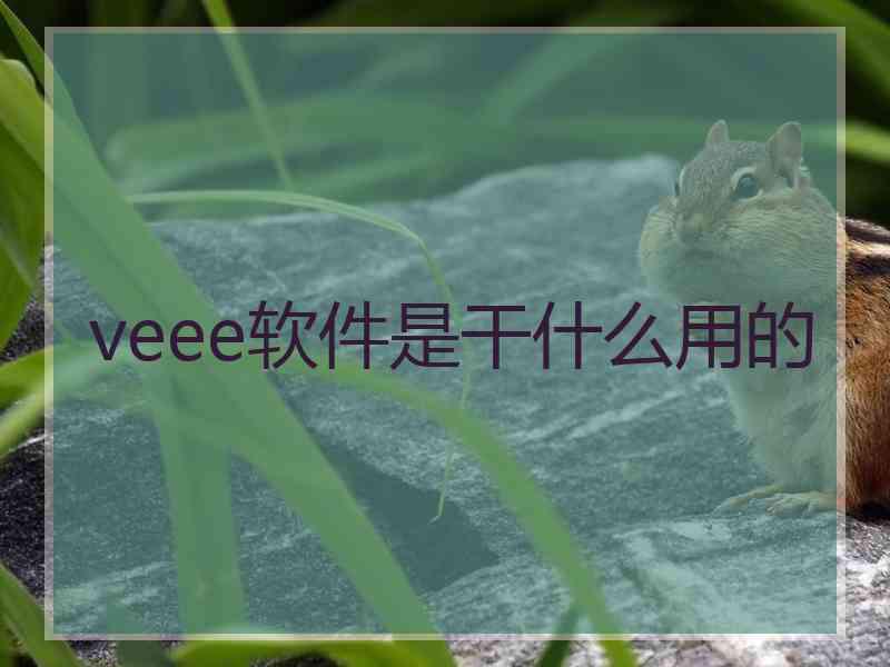 veee软件是干什么用的 veee软件是干什么用的
