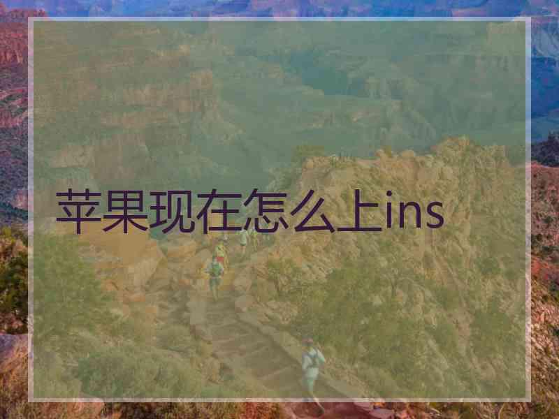 苹果现在怎么上ins 苹果现在怎么上ins
