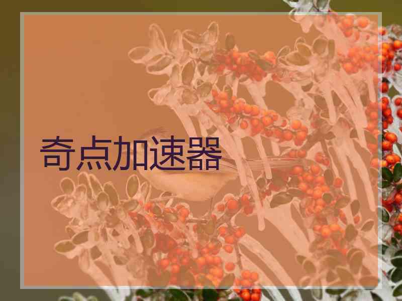 奇点加速器 奇点加速器