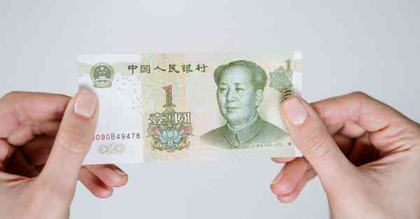 绿灯vip破解版是什么