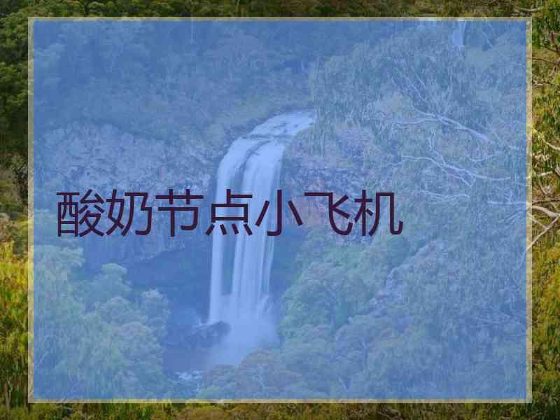 酸奶节点小飞机