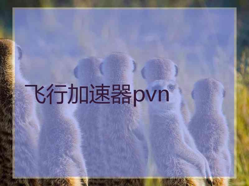飞行加速器pvn