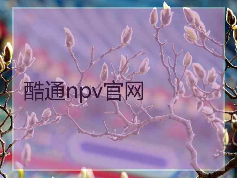 酷通npv官网