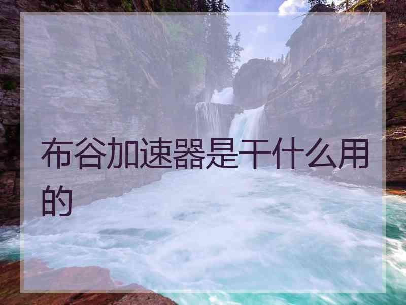 布谷加速器是干什么用的