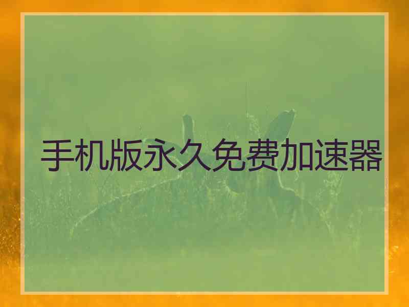 手机版永久免费加速器