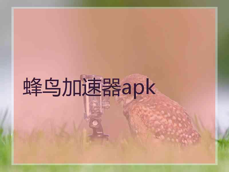 蜂鸟加速器apk