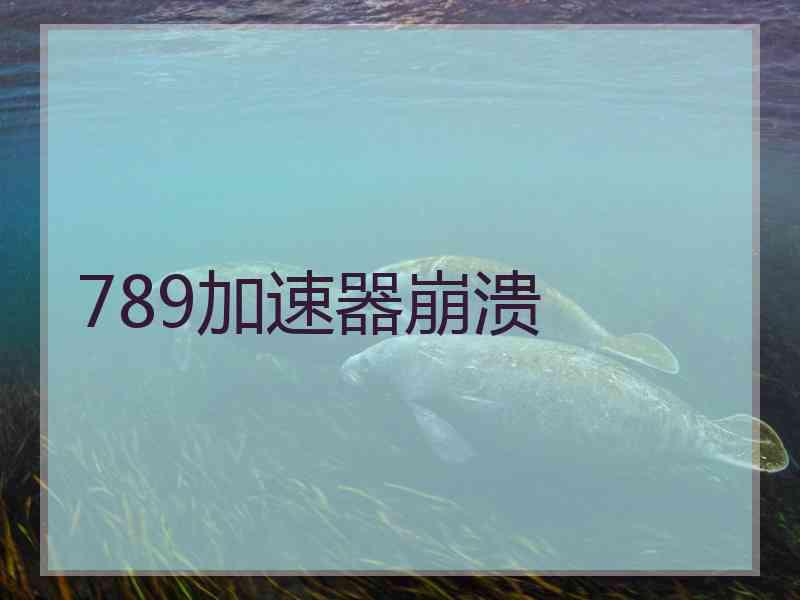 789加速器崩溃