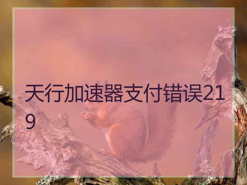 天行加速器支付错误219