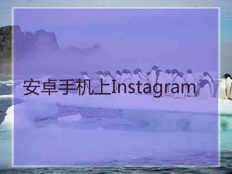 安卓手机上Instagram