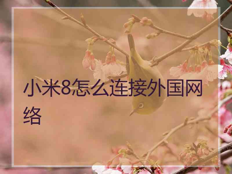 小米8怎么连接外国网络