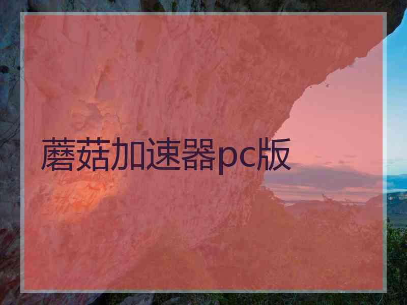蘑菇加速器pc版
