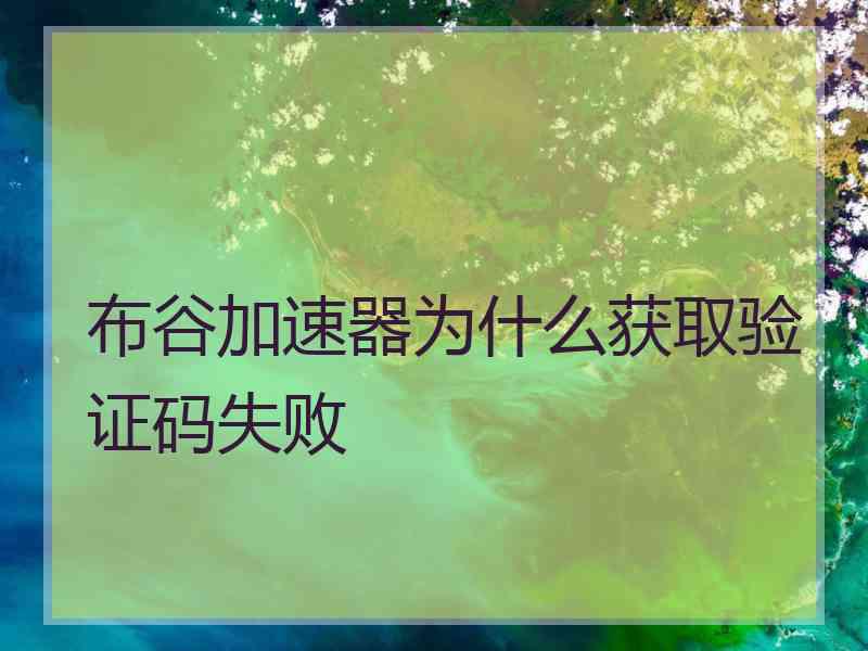 布谷加速器为什么获取验证码失败