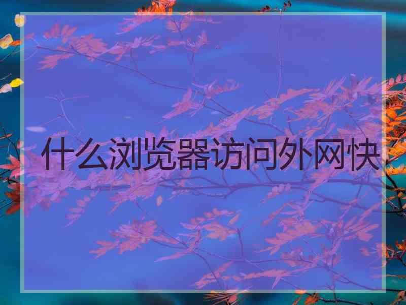 什么浏览器访问外网快