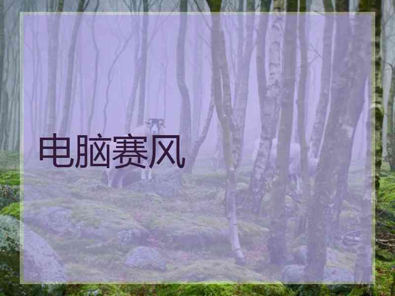 电脑赛风