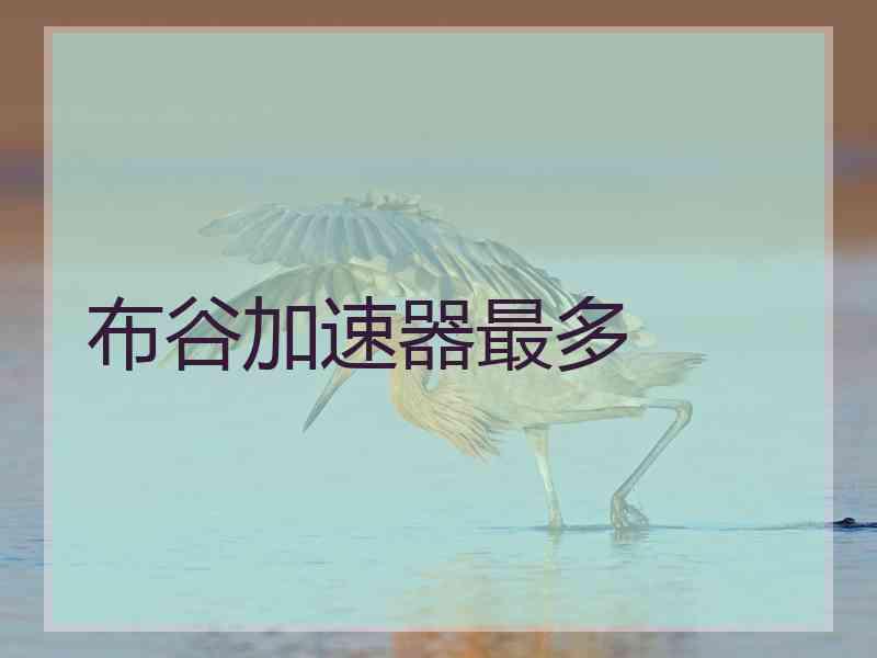 布谷加速器最多