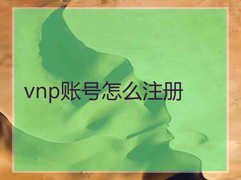 vnp账号怎么注册