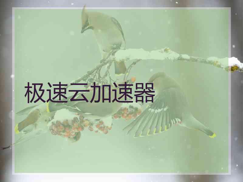 极速云加速器