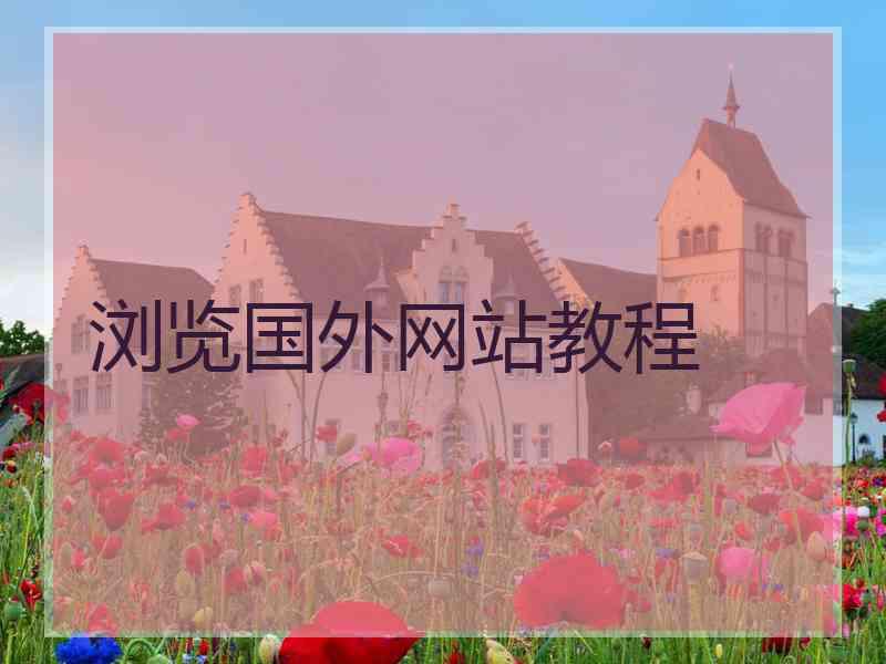 浏览国外网站教程