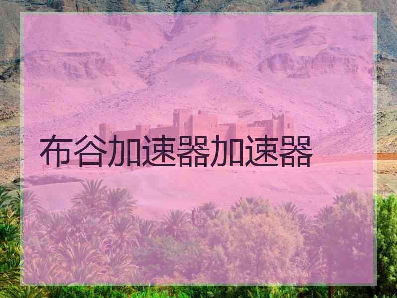 布谷加速器加速器