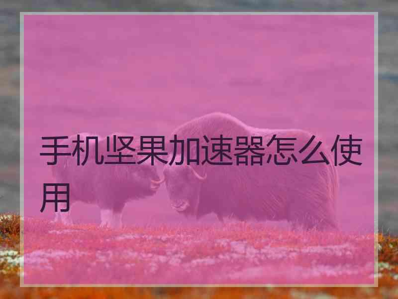 手机坚果加速器怎么使用