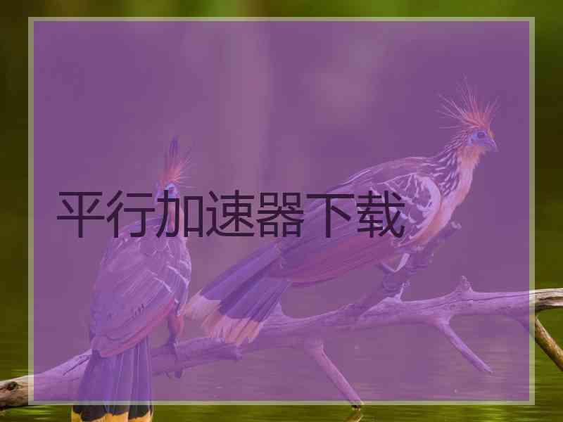 平行加速器下载