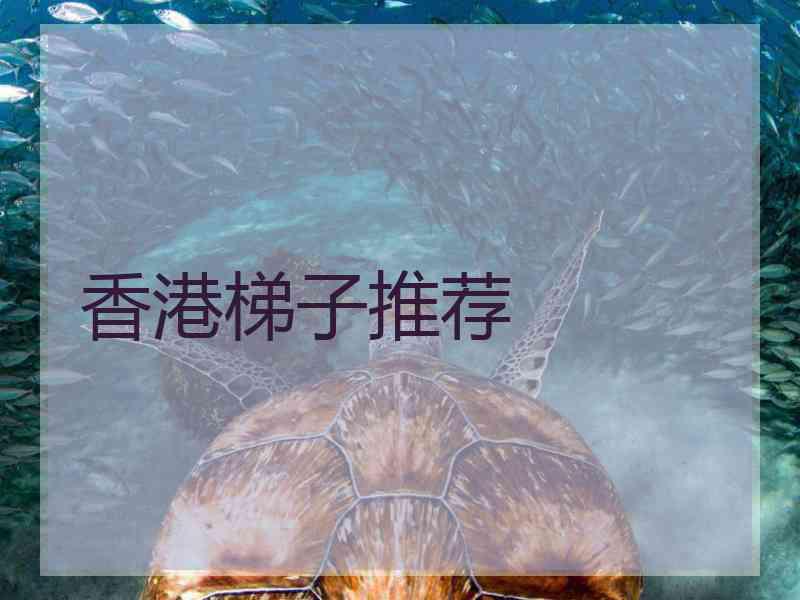 香港梯子推荐