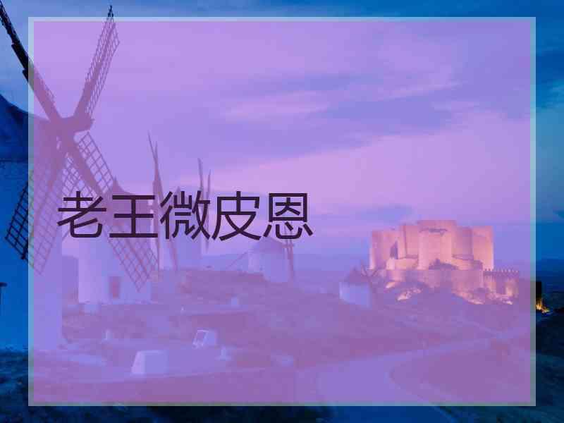 老王微皮恩