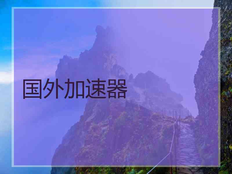 国外加速器