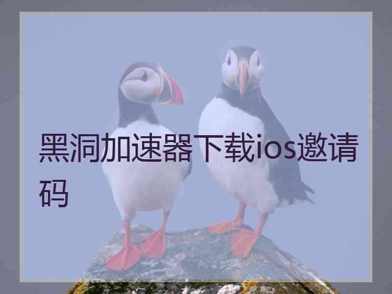黑洞加速器下载ios邀请码