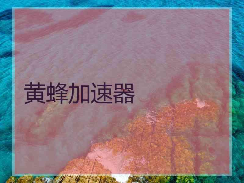 黄蜂加速器