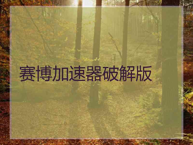 赛博加速器破解版