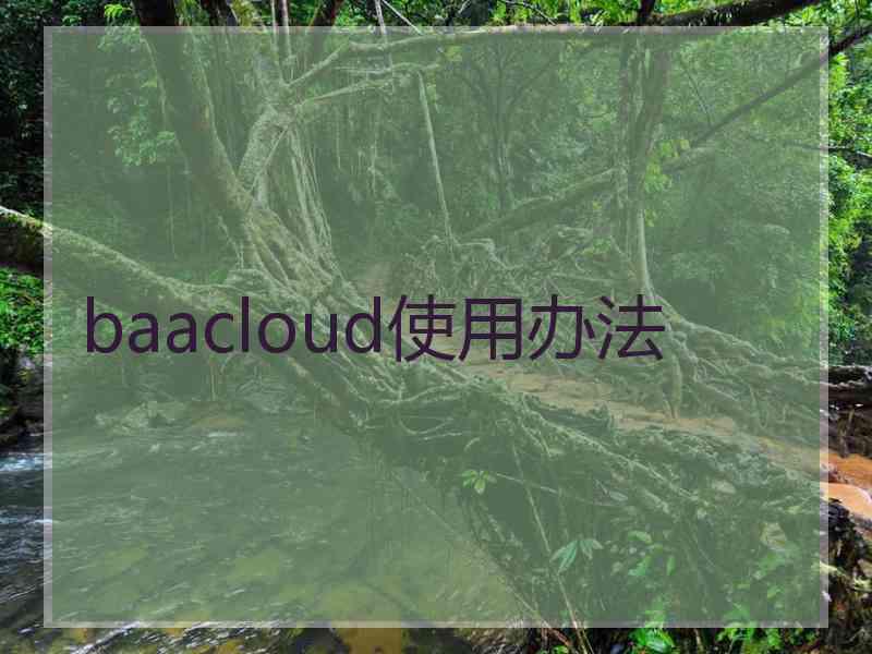 baacloud使用办法