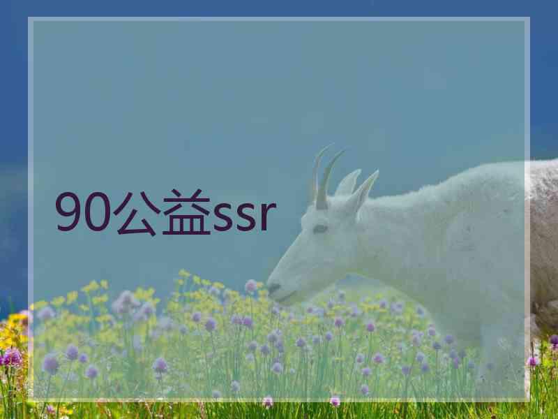 90公益ssr