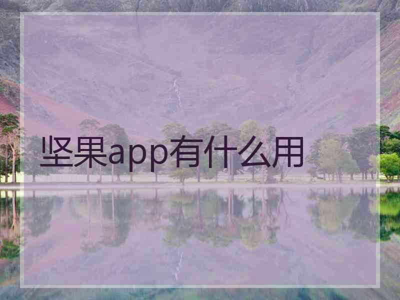 坚果app有什么用