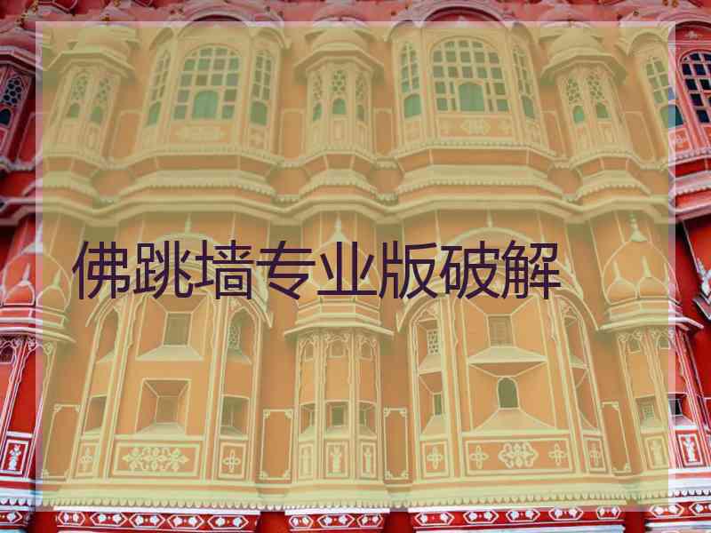 佛跳墙专业版破解
