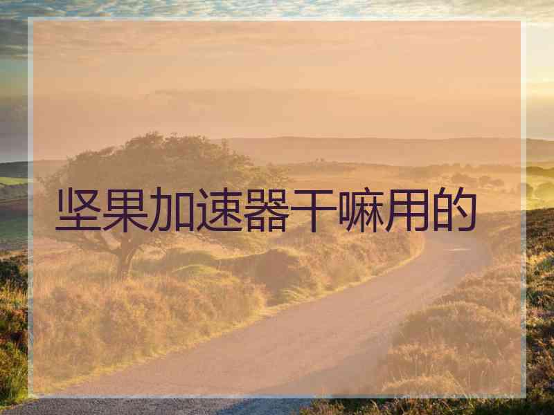 坚果加速器干嘛用的